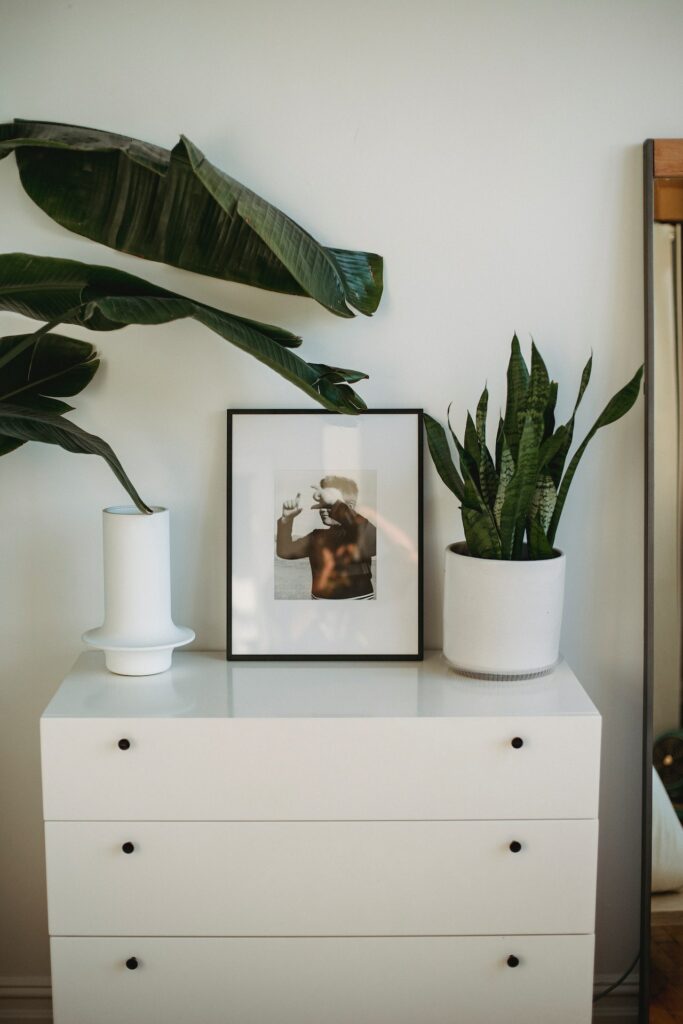 A black picture frame with a photo of a man beside a potted plant was placed on a white wooden cabinet