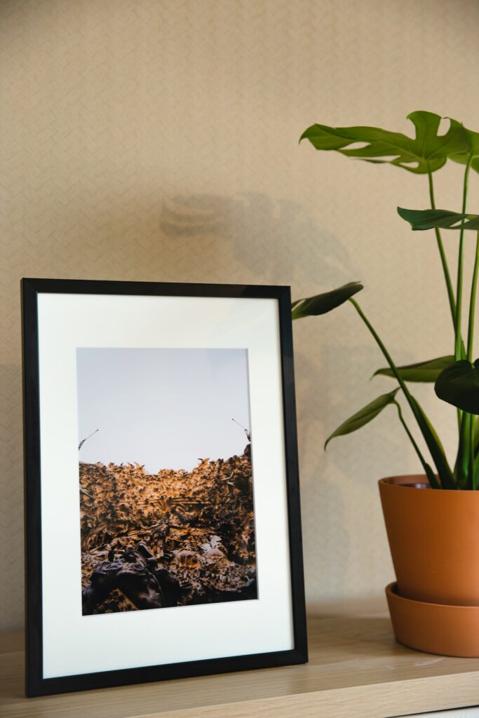 A black picture frame with a photo of nature near a potted plant is placed on a wooden table