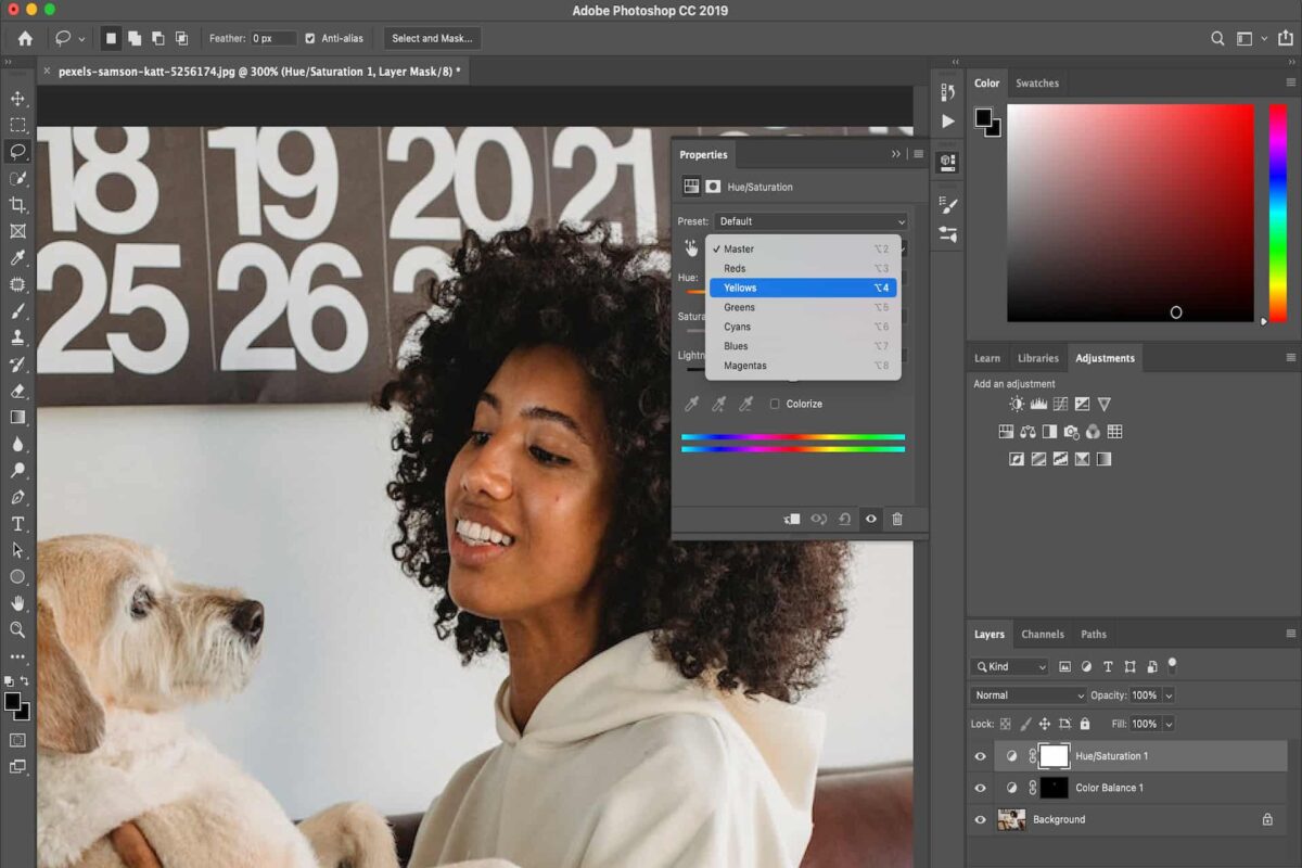 Photoshop で色相と彩度を調整して、白いパーカーを着た女性が白い壁の近くで白い犬を抱きかかえている画像を編集する