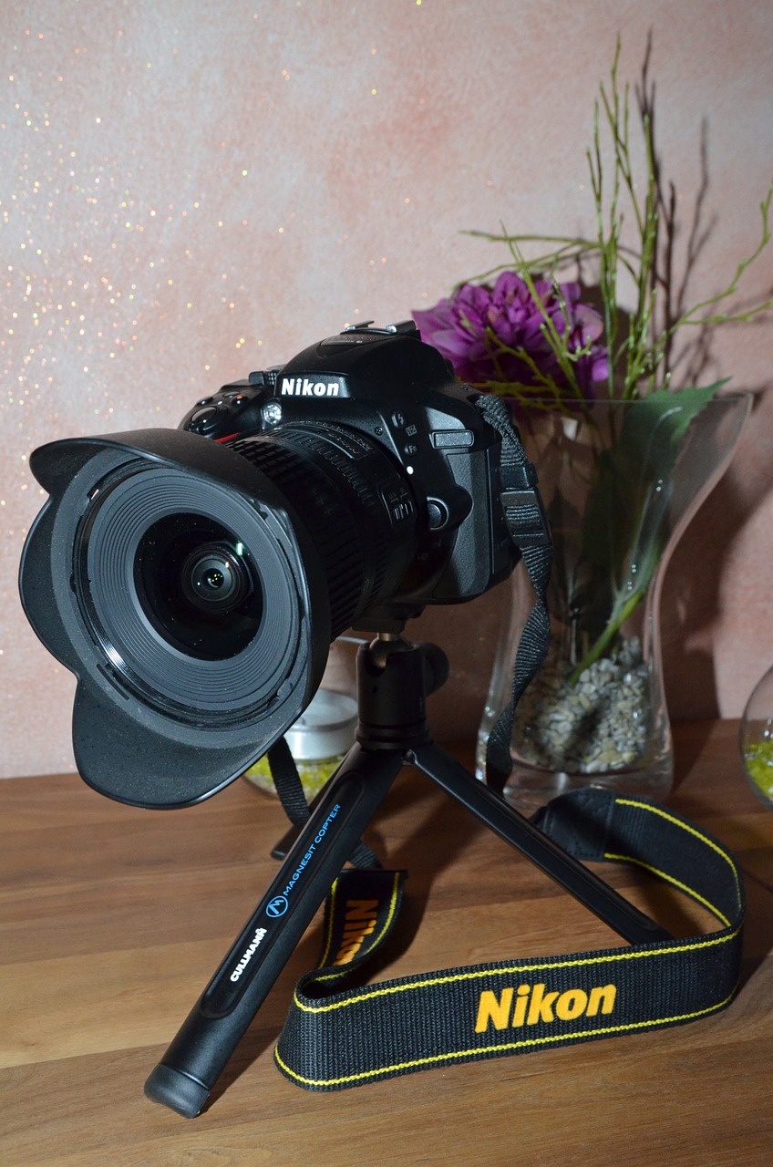 Best Lens for Nikon D5300 [2023 Review] PFRE