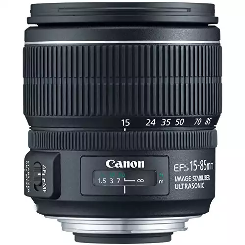 Canon 80D 写真に最適なレンズ [2023 レビュー] | PFRE
