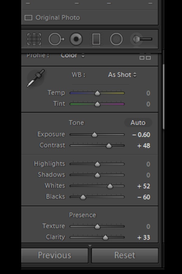 Adjusting Basic Panel sliders for editing hazy image in Lightroom 5