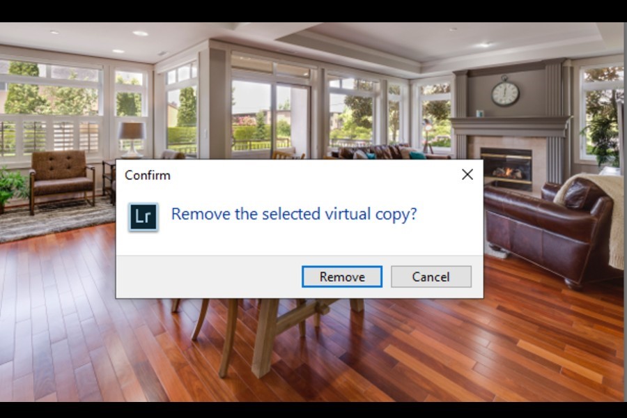 Removing selected virtual copy in Lightroom