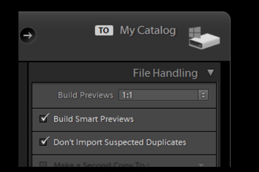 Ticking the checkbox for Build Smart Previews from the File Handling panel