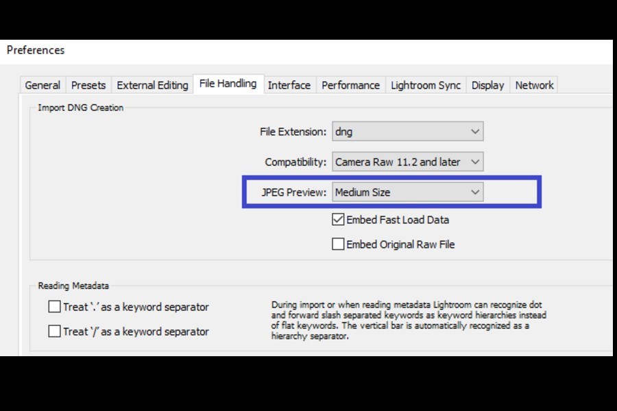 Setting the JPEG preview size to Medium