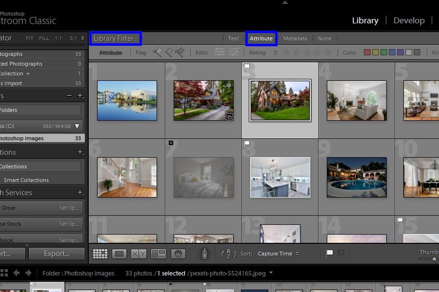 Attribute option present in the Library Filter in Lightroom